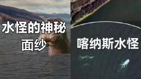 喀纳斯湖水怪