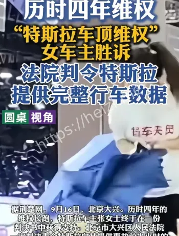 特斯拉车顶维权数据案