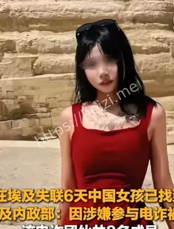 埃及当地法律判罚电诈案